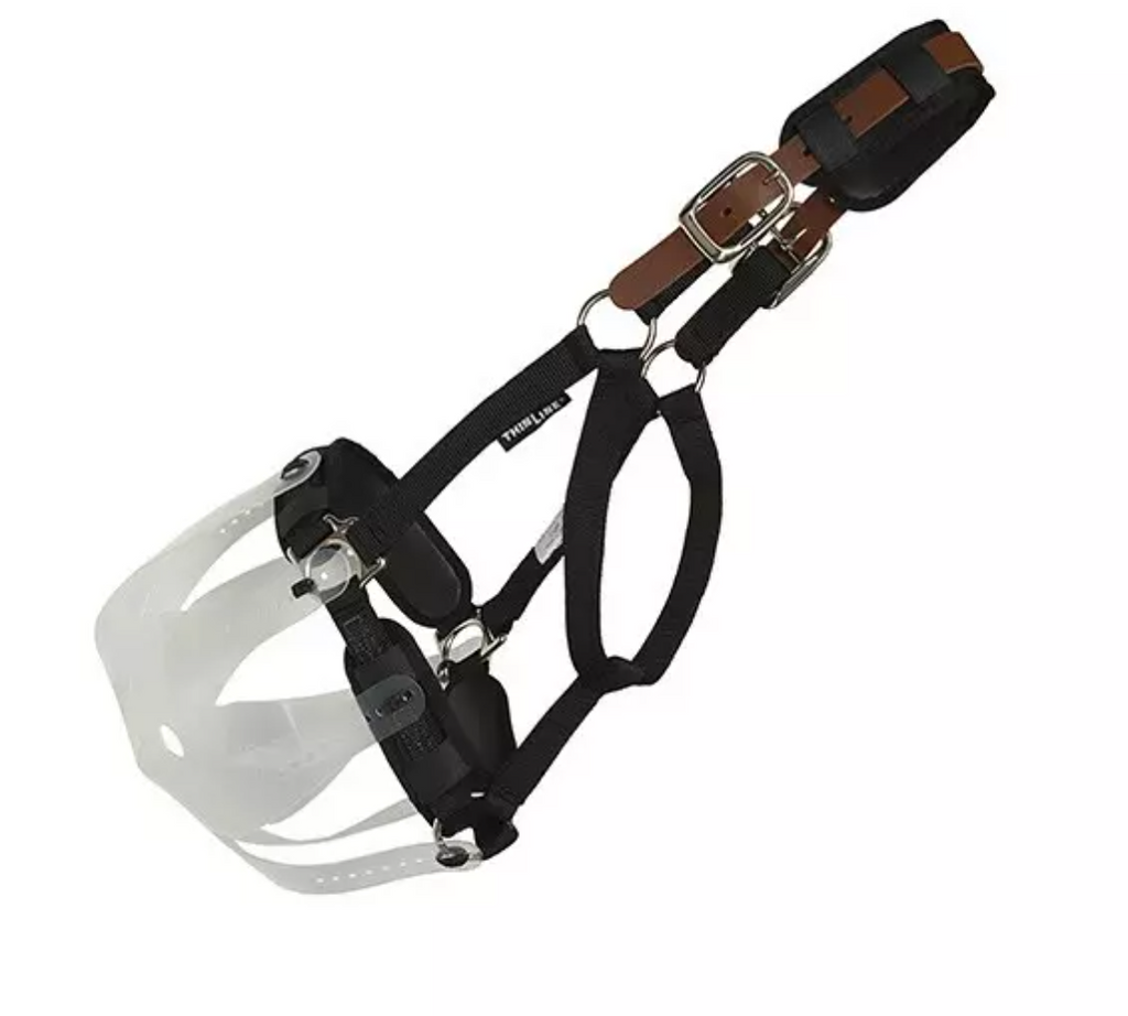 Thinline Halter for Flexible Filly Muzzle