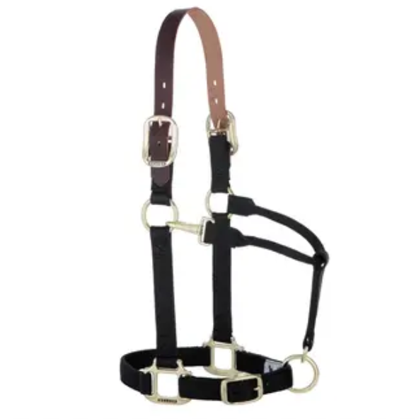 Weaver Nylon Breakaway Halter