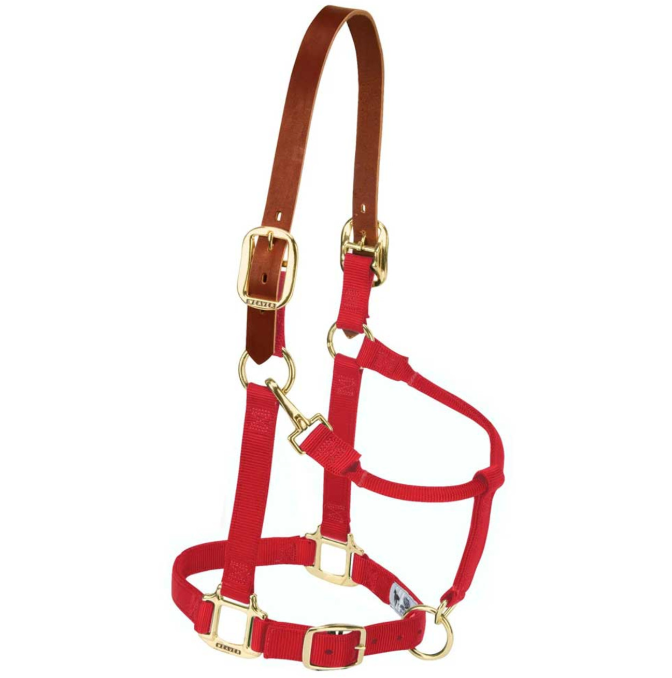 Weaver Nylon Breakaway Halter